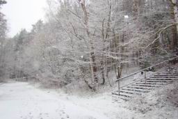 Resize of DSC02282.JPG